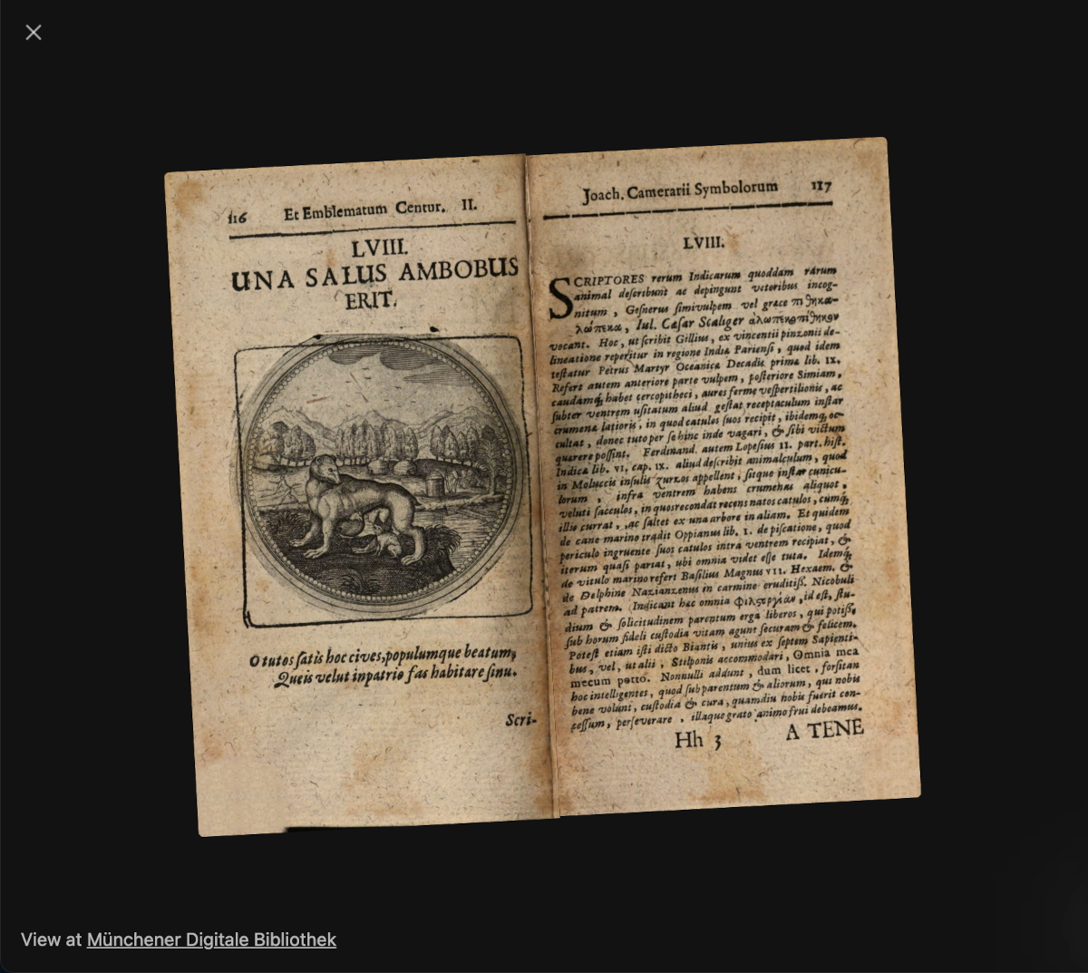 Machina Emblematica mobile start page